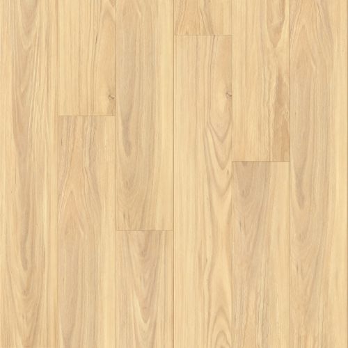 H1203 Select Blackbutt